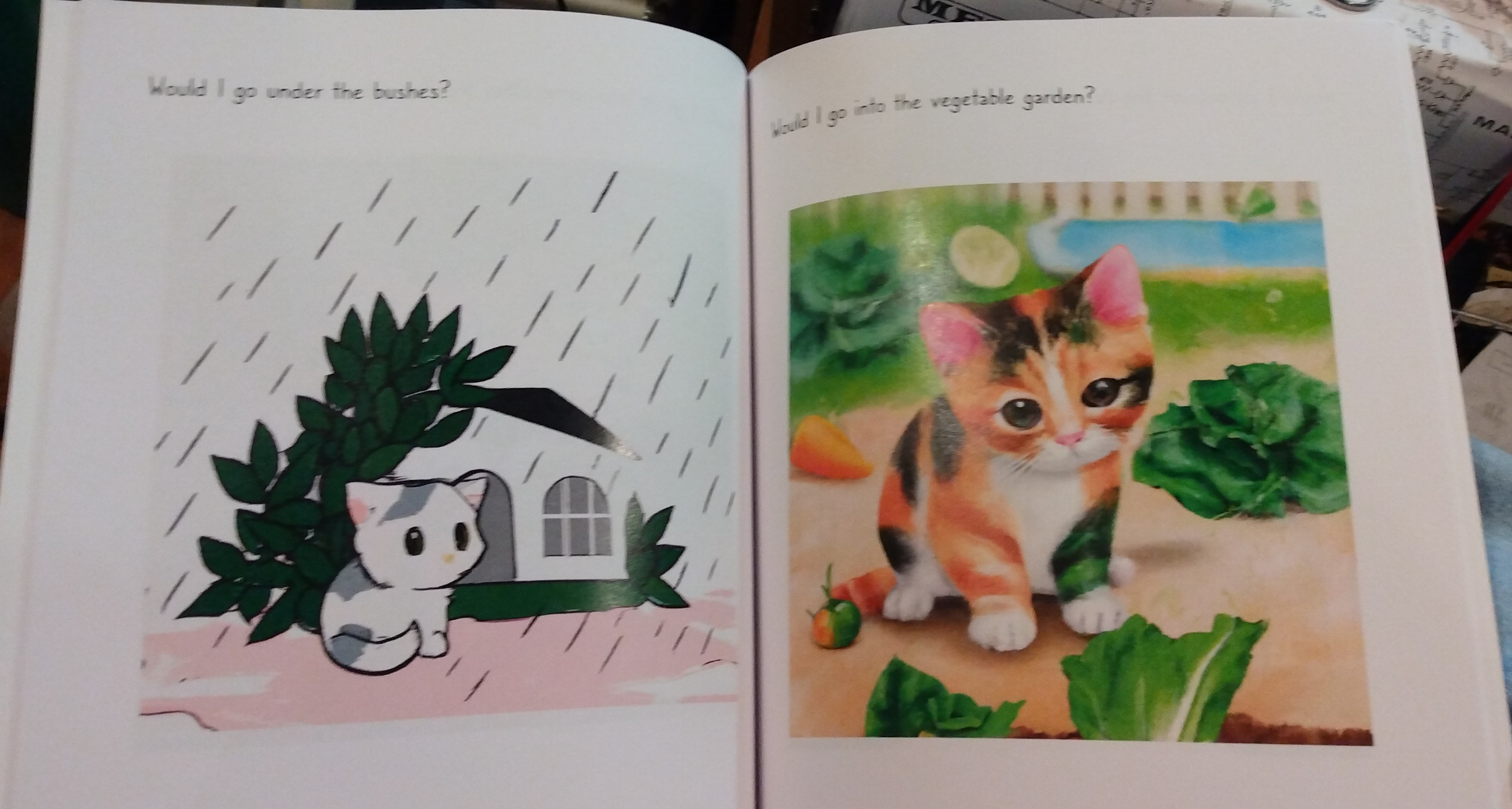 Inside of book - cute kitties.